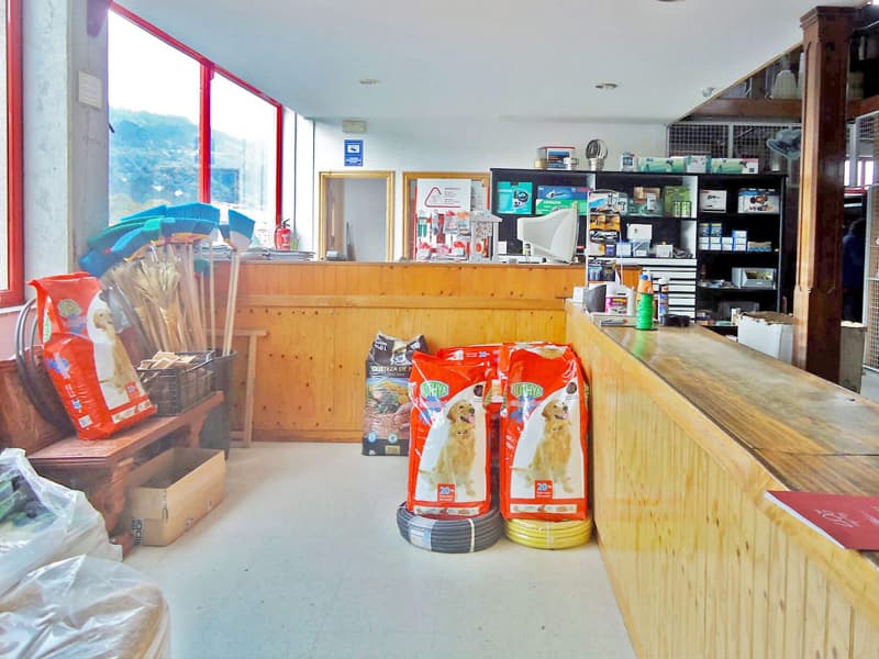 Productos agrícolas en Pontedeume
